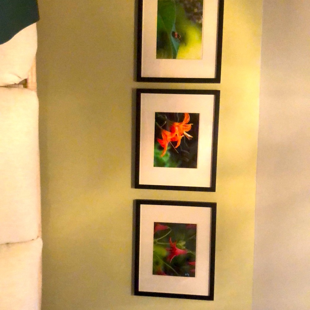3 frames matted in white with changeable pictures.